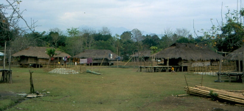 Arunachal Tribal Village